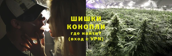 амф Россошь