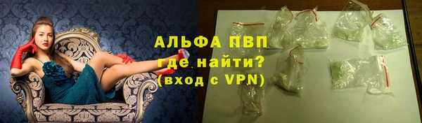 прущие грибы Армянск
