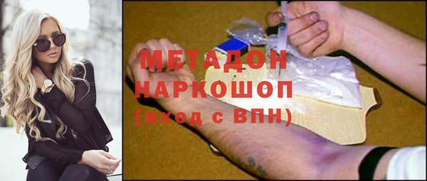 шишки Арсеньев