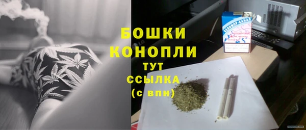 шишки Арсеньев