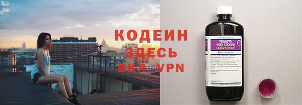 прущие грибы Армянск