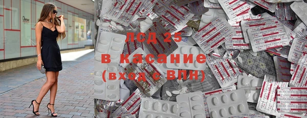 прущие грибы Армянск