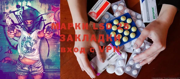 шишки Арсеньев