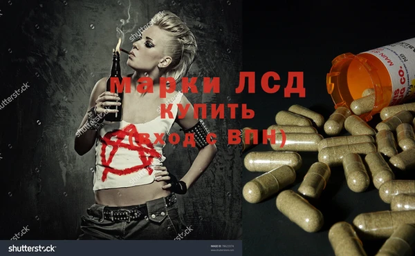 мяу мяу мука Аркадак