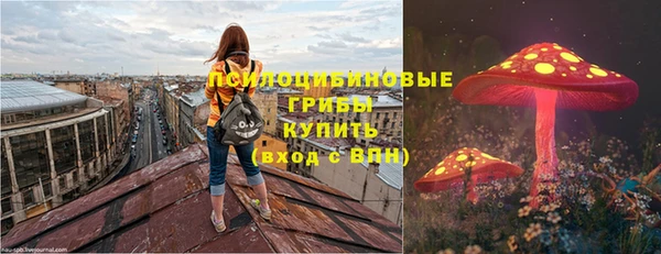 прущие грибы Армянск
