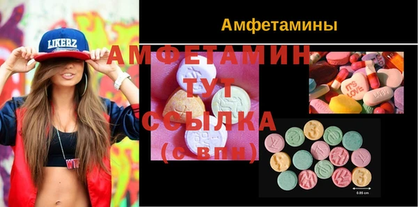 шишки Арсеньев