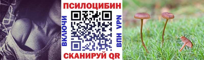 Галлюциногенные грибы Magic Shrooms  где купить   Рошаль 